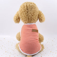 Load image into Gallery viewer, Cute Pet Clothes Striped Cat Clothing Soft Summer Vest Cat Clothes for Cat Kitten Shirt Pet T-shirt Cat Costume Small Dog Clothe